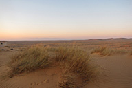 אל חולות עגור בעקבות הנסיך הקטן