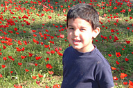 מאז ועד היום - דרך הבשור לכל המשפחה