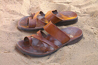 חופים הם לפעמים טיולים