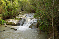 נחל גלבון והכפר דבורה