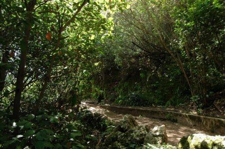 גן עדן של הטבע - נחל עמוד