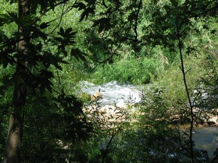 הצטננות בנחל שניר