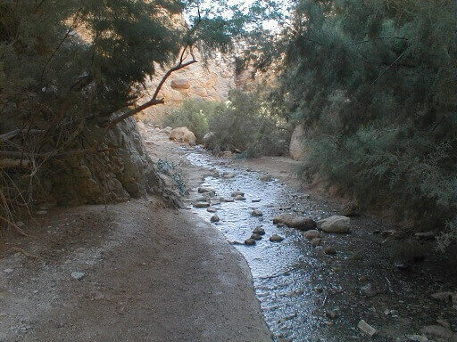 נחל עין בוקק - תמונה פסטורלית