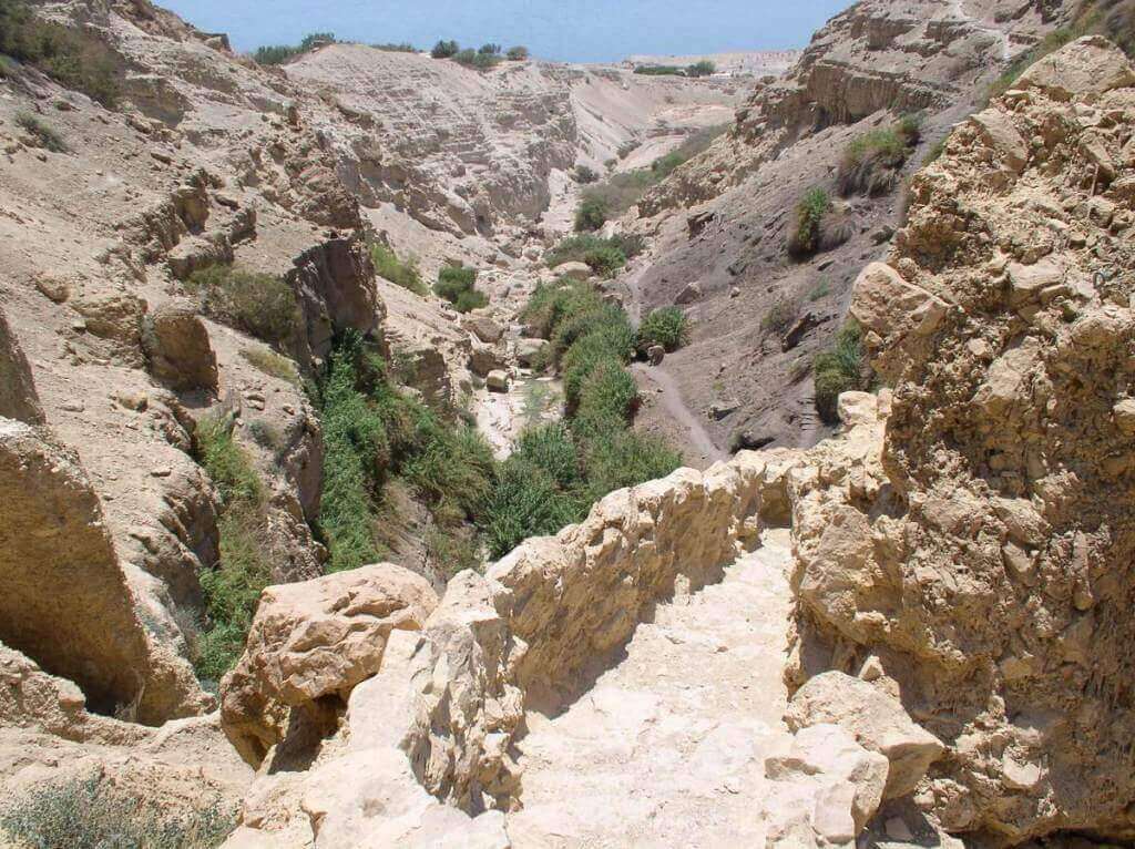 נחל דוד מסלול - עין גדי