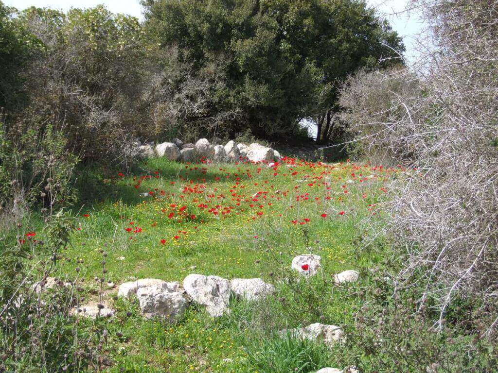 חורבת מדרס מסלול