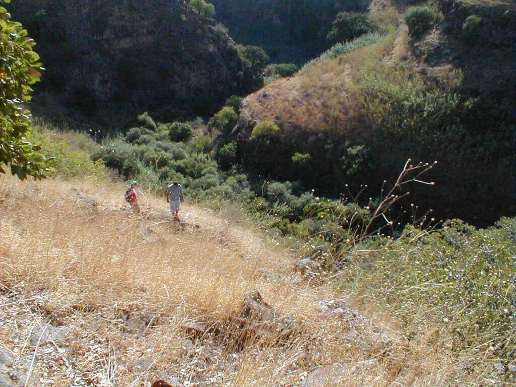 נחל זוויתן תחתון