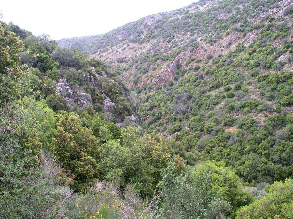 נחל חזור, מסלול טיול