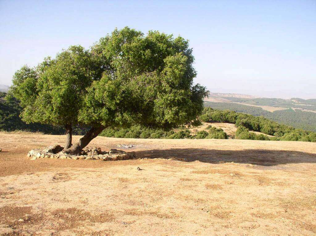 נחל מירון - מסלול טיול