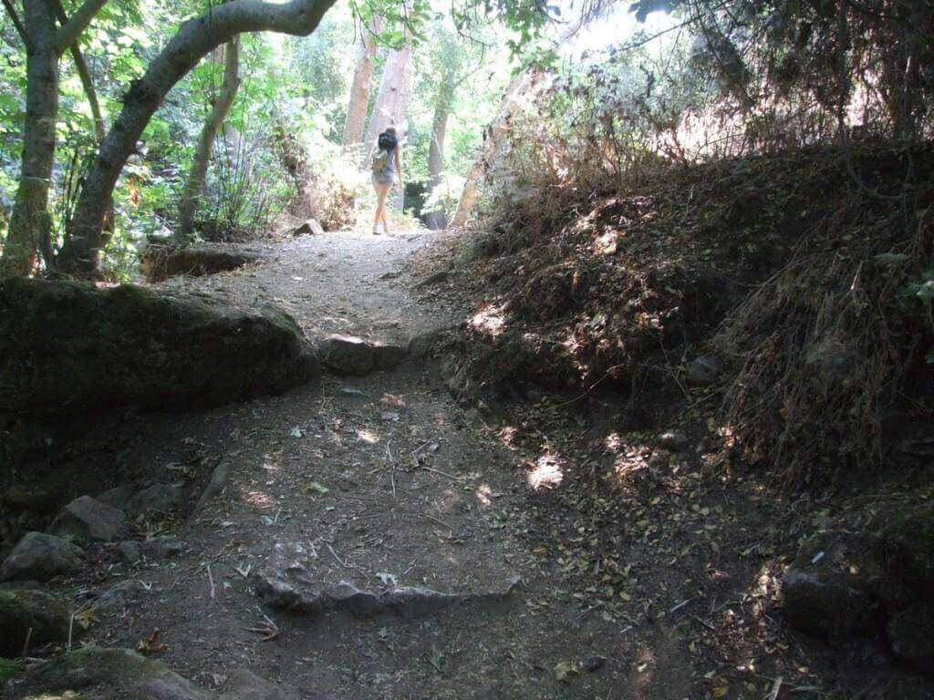 נחל עמוד - מסלול טיול