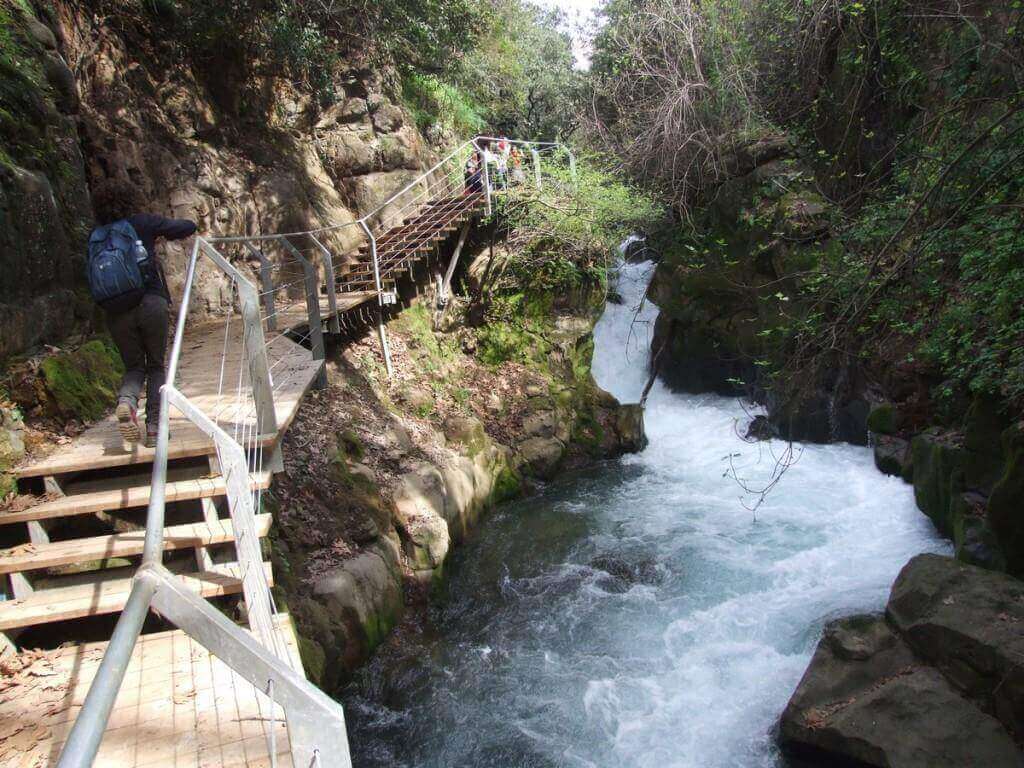 נחל חרמון (בניאס)