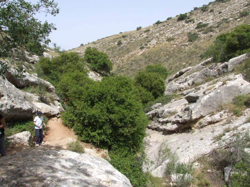 אלבית עיתאב ונחל מערה