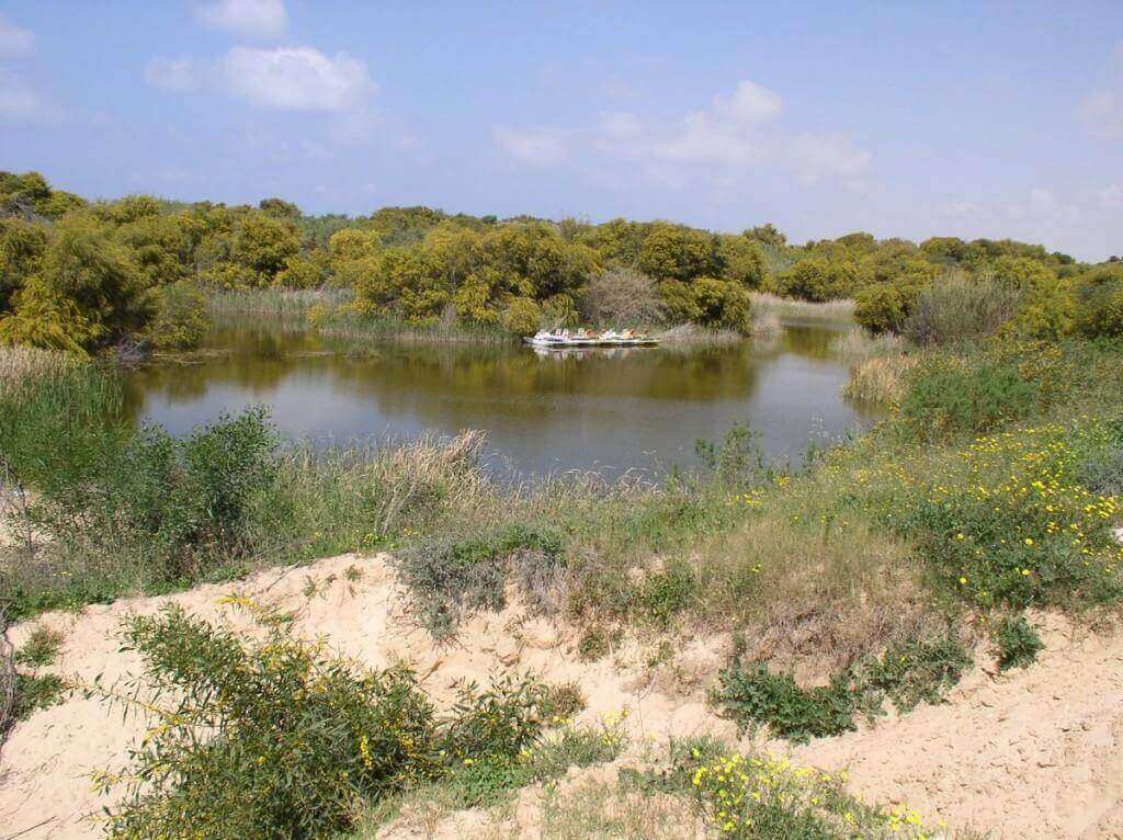 פארק חולות ניצנים