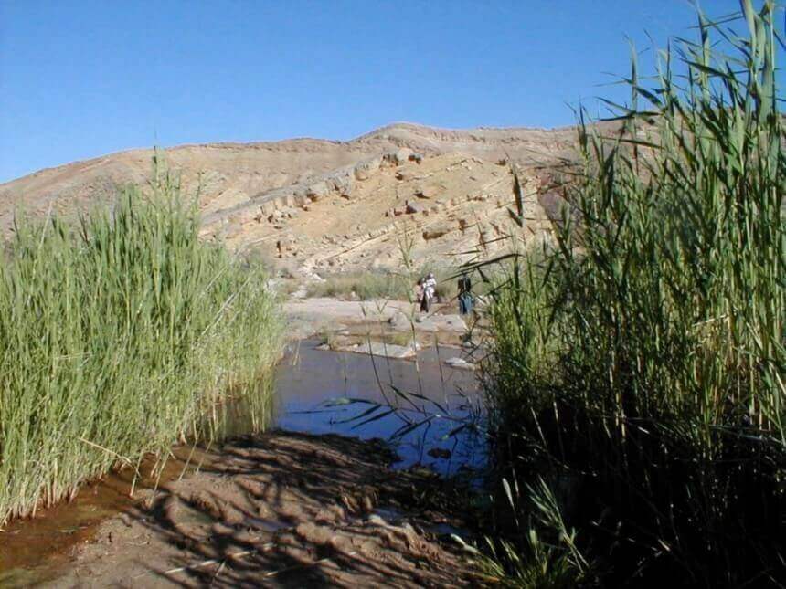 מכתש רמון: נחל ארדון וגבעת חרוט