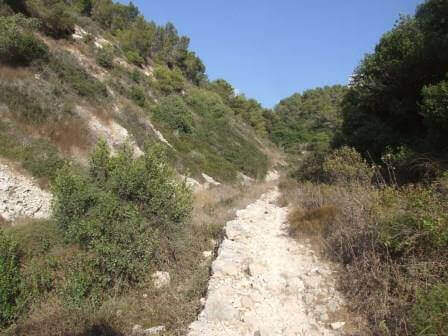 נחל שיח שבחיפה