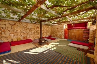 דרך התנ"ך אל הטבע