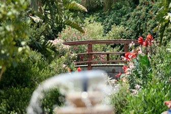 חמי געש מרחצאות ואירוח