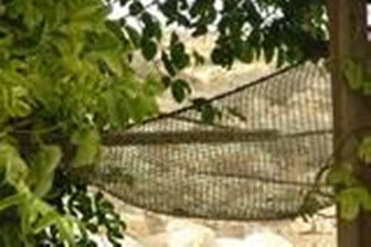 חוות כרמי עבדת