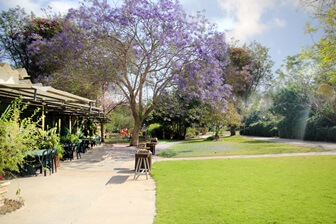 גבולות - חווית אירוח קיבוצית