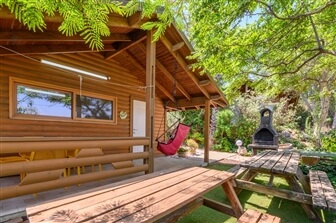 אביב בכרם אביב בכרם