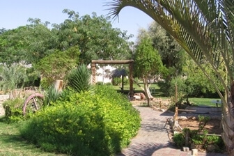 אליפז חופש וחוויה בערבה