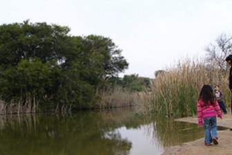 תמונה שצולמה בפארק ניצנים - חוף ניצנים - 1 תמונה של פארק ניצנים - חוף ניצנים - 1