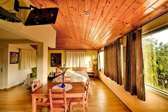 הסטודיו של בלום הסטודיו של בלום