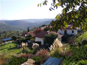 מלון שורש ירוק בהר - הרי ירושלים