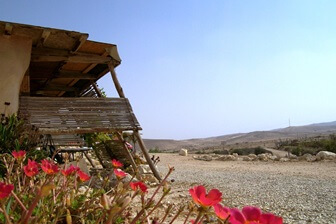 חוות מתנת מדבר