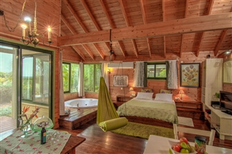 מעוף הציפור