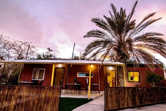 הפינוקים של רוזי הפינוקים של רוזי