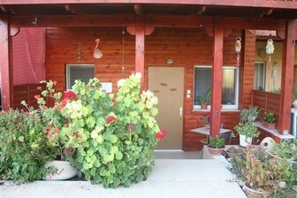 מול השחר בית עץ