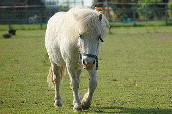 תמונה שצולמה במרכז רכיבה עין יהב - 1 תמונה של מרכז רכיבה עין יהב - 1