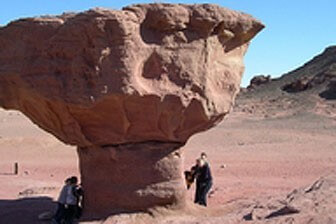 תמונה שצולמה באקו טיולי מדבר - 1 תמונה של אקו טיולי מדבר - 1