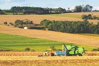 תמונה שצולמה בג'ונדירלנד - 1 תמונה של ג'ונדירלנד - 1