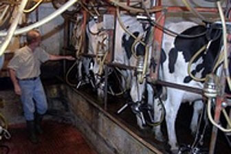 תמונה שצולמה ברפת רובוטית - 1 תמונה של רפת רובוטית - 1