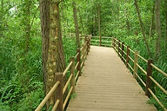 תמונה שצולמה בטיולי דני - 1 תמונה של טיולי דני - 1