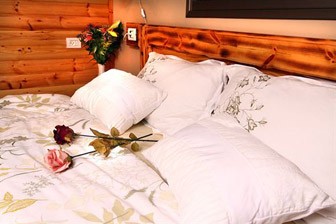 כוכב השביט כוכב השביט