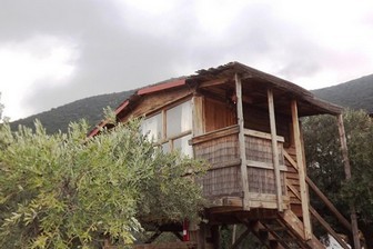 צימר אלערישה