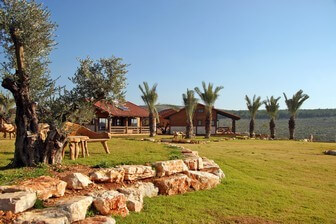 מלון נוף ציפורי