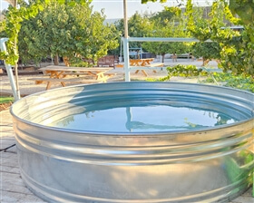 חאן בשביל היער