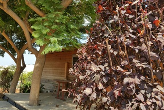 פינה בכפר פינה בכפר