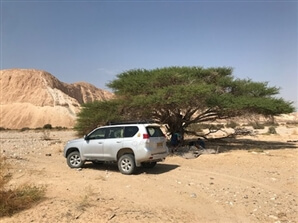 עמוס אבירן טיולי ג'יפים