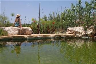 וילה בין חרוב לזית