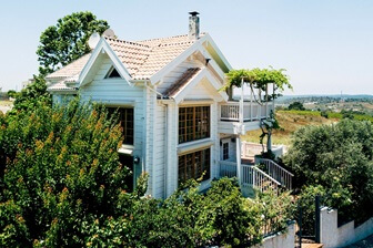 בית העץ של אלכסיס