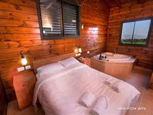 בינות תמרים