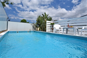 טוהר המלכות