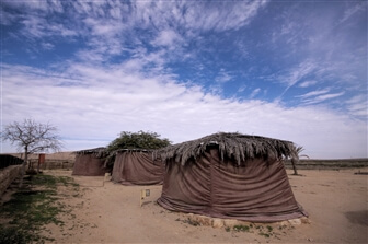 חניון לילה גן לאומי ממשית – החאן הנבטי