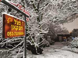 בצל הפקאן קשת