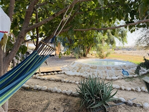 ירוק במדבר ירוק במדבר