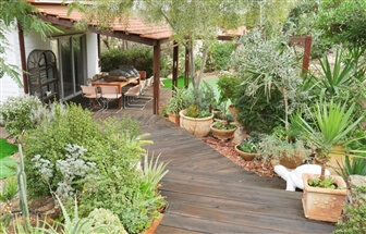 אוליבס ערד - Olives